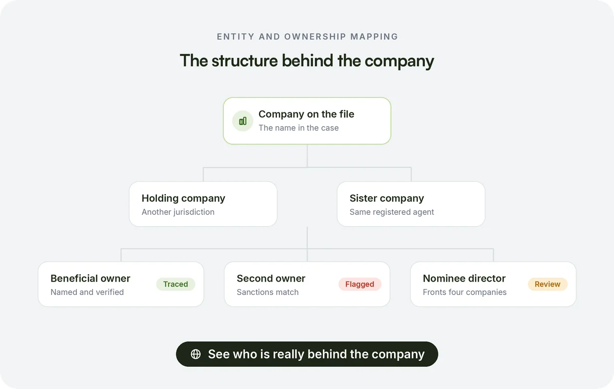 Entity and ownership mapping workflow for network analysis in investigations