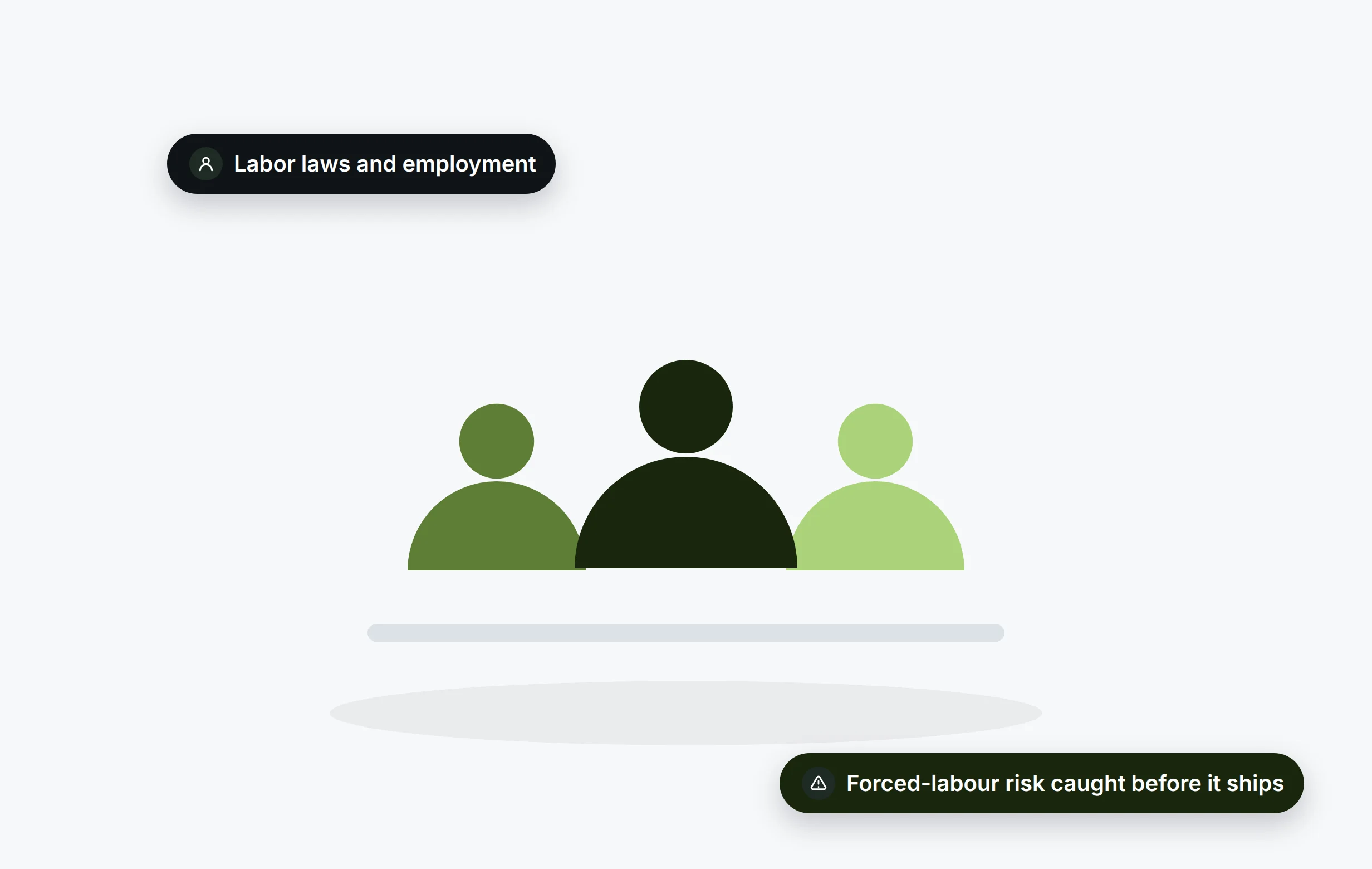 Labor Laws and Employment Practices