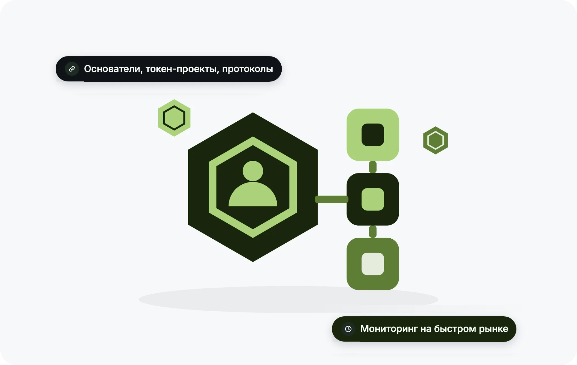 Проверка криптопроектов и их основателей
